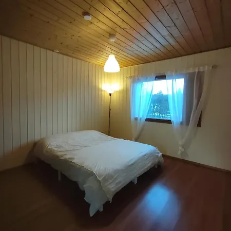 Center Art Appartement Artjärvi