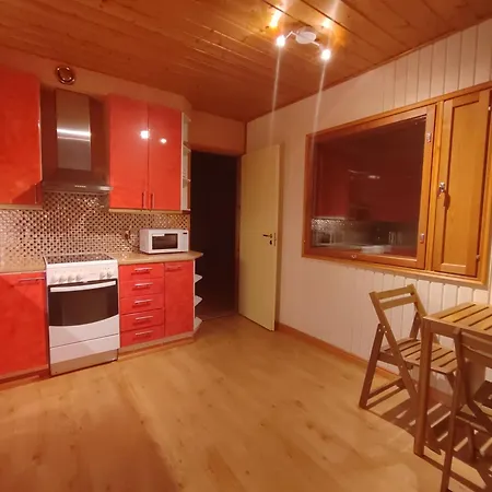 Center Art Appartement Artjärvi